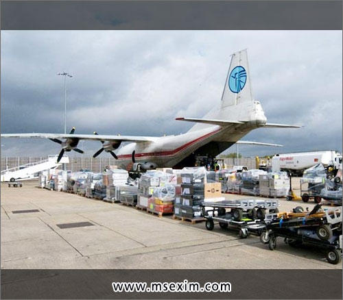 M.S. Exim Services Custom House Agents in Ludhiana Punjab India